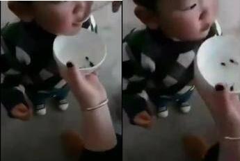 家長給幼童喂食活蝌蚪視頻引關注 事后熊家長竟稱可以強身健體