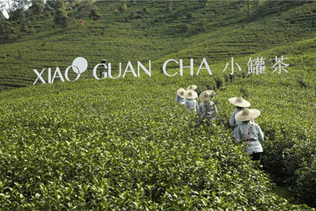 小罐茶再立茶行業傳播新標桿：用時尚跨界詮釋茶品牌