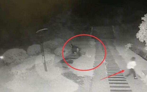 女大學生深夜校園里被6條流浪狗撕咬 場面兇險至極恐怖畫面曝光