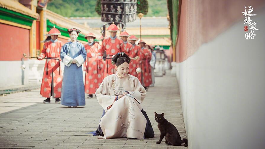 《延禧攻略》“清宮最美”順嬪張嘉倪終上線 太過美艷令后宮眾妃嬪心生妒恨