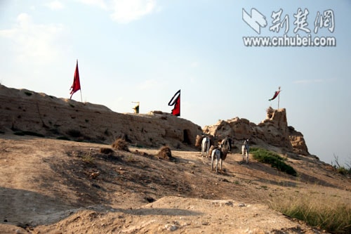 電影紅高粱劇照