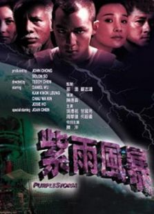 紫雨風暴