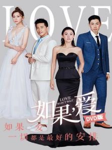 如果，愛(ài) DVD版