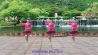 湖北珍珍廣場舞《飄洋過海來看你》編舞：風中的天使