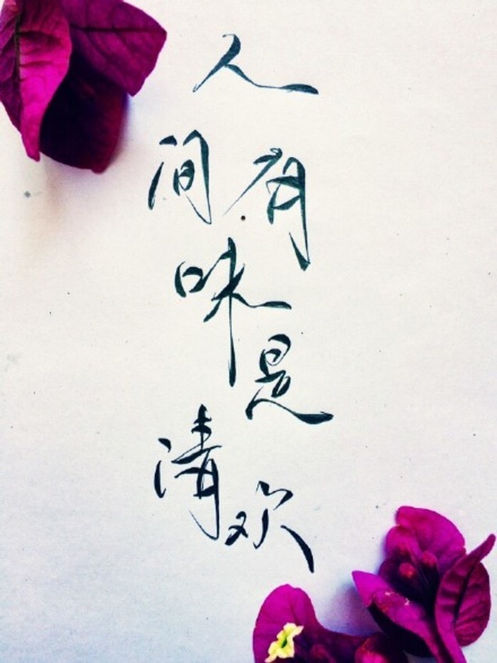 人間至味是清歡 DVD版  海報