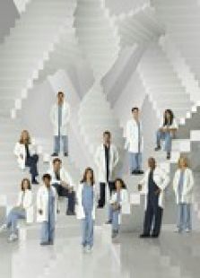 實習醫(yī)生格蕾第5季