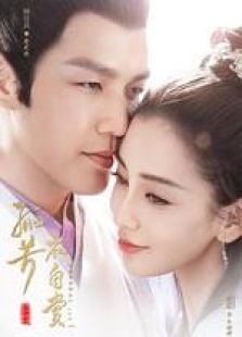 孤芳不自賞未刪減版