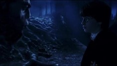 混剪片花之A Look Back