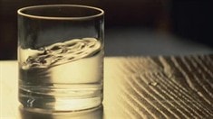 先行版預(yù)告片1