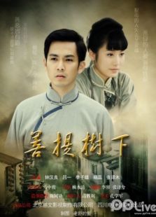 菩提樹下之兒本無罪