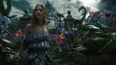 片段之Curiouser and Curiouser