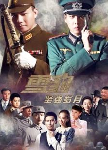 雪豹·堅(jiān)強(qiáng)歲月