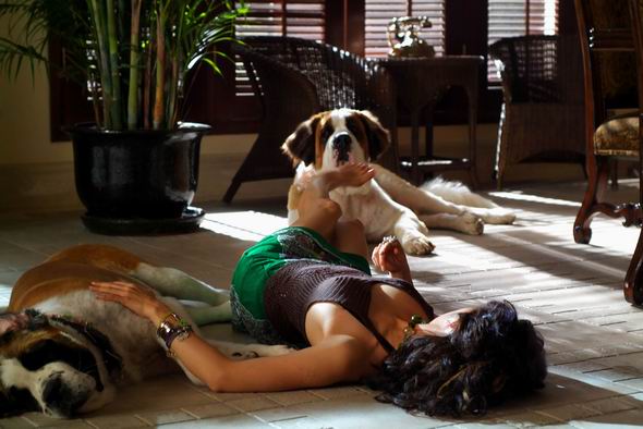 電視劇《此情可問天》張彤飾林吉美