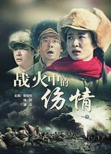 戰(zhàn)火中的傷情