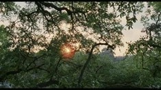 制作特輯之克里斯托弗·諾蘭、大衛·芬奇推薦