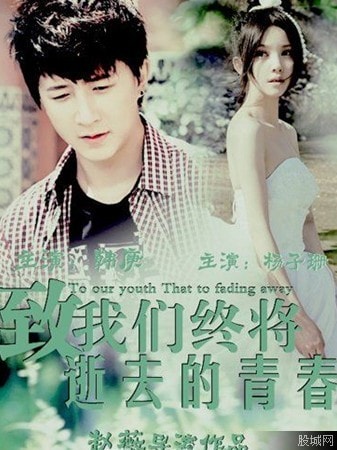 致我們終將逝去的青春劇照