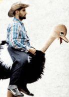 尼格爾·琳德塞