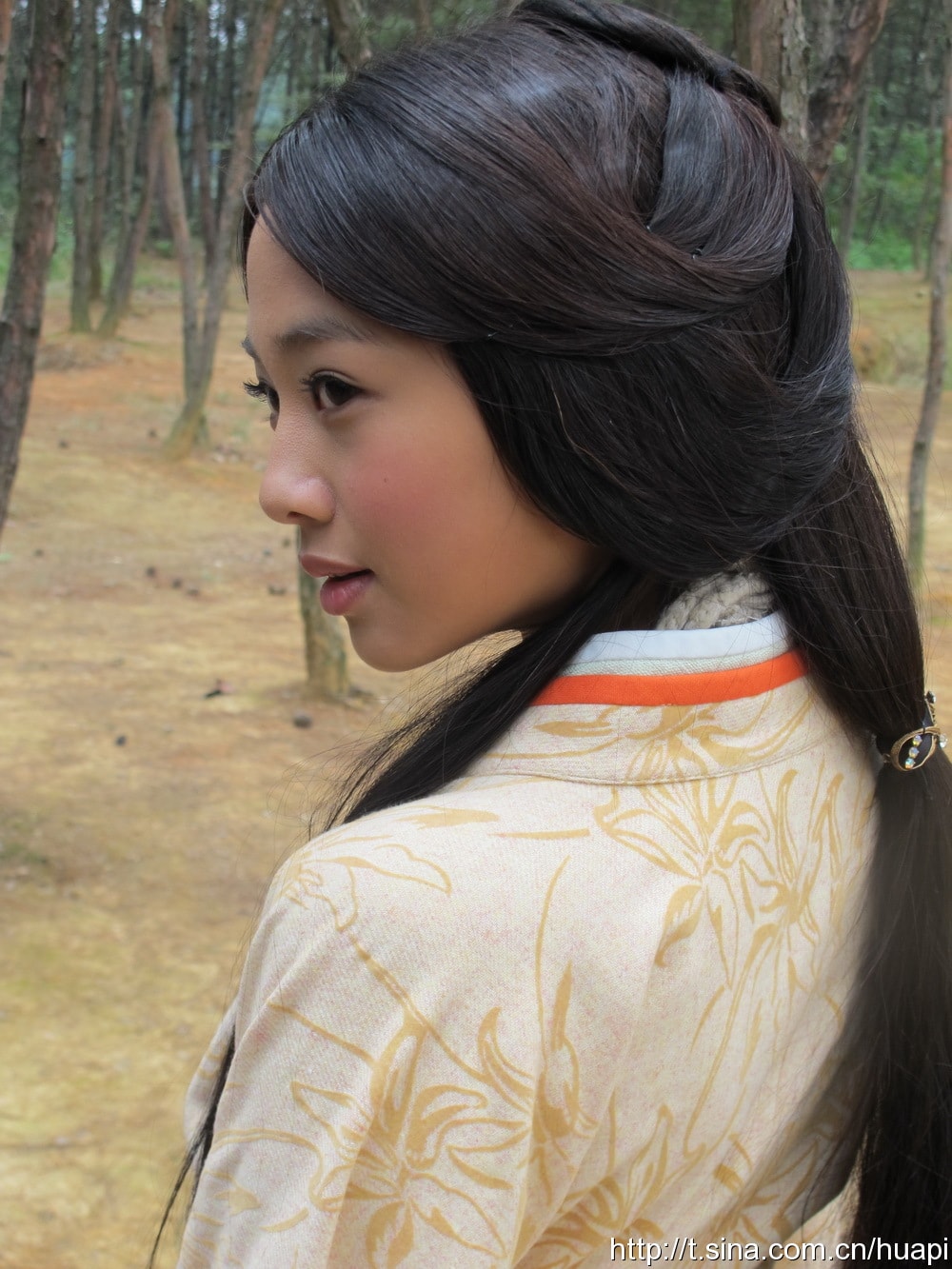 畫皮（國語版）  夏冰