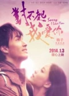 對不起，我愛你 （2014）