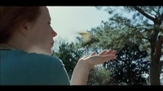 制作特輯之Cinematographer Emmanuel Lubezki