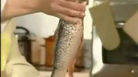 菜譜_如何做魚藏鮮的做法視頻_家常菜譜教學大全_學做家常菜_標清