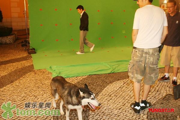 《游龍戲鳳》花絮