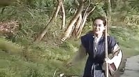 《新白娘子傳奇》  煙花二月去踏青  片段
