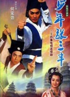 少年張三豐（何家勁版）