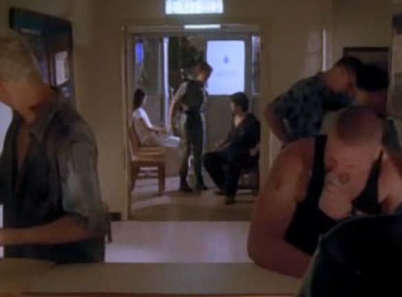 少年阿虎 精彩圖冊(cè)