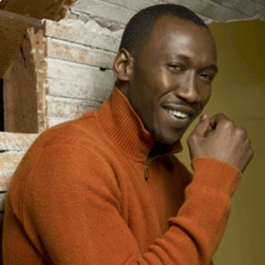 馬赫莎拉哈什巴茲·阿里