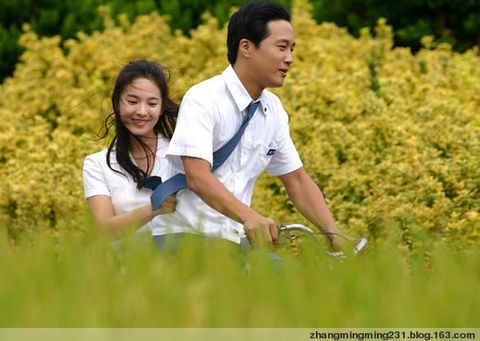 波浪預(yù)報 《我和我的女友》劇照