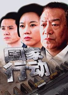 國家行動（2009版）