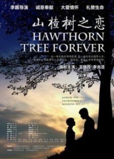 山楂樹(shù)之戀