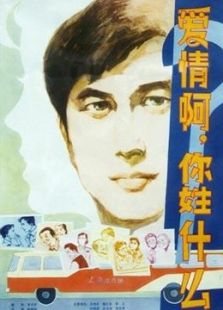 愛情啊！你姓什么