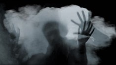 病毒視頻之重見天日