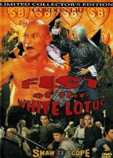 洪文定三破白蓮教