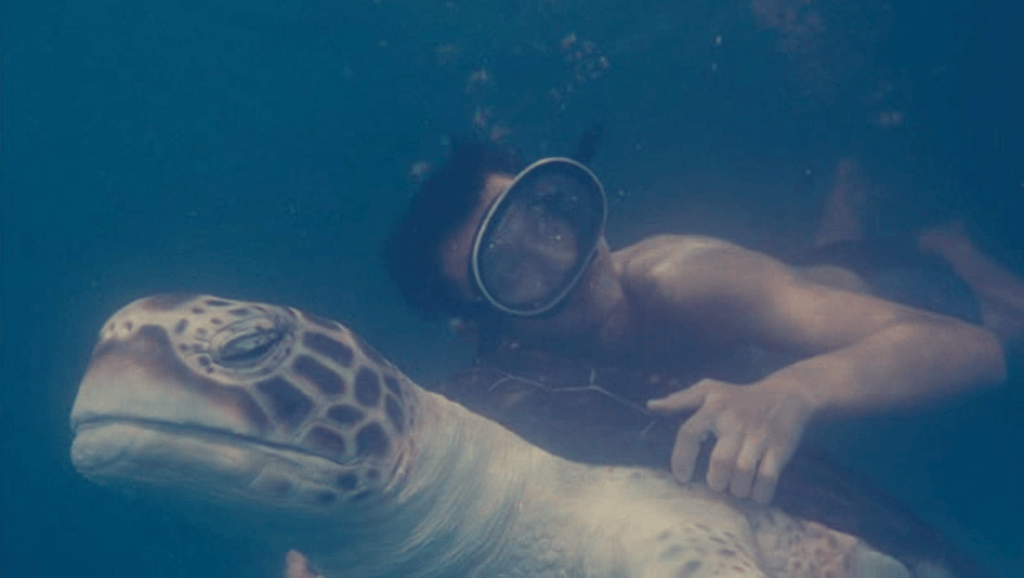 海洋天堂 精彩圖冊1