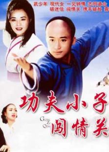 功夫小子闖情關(guān)