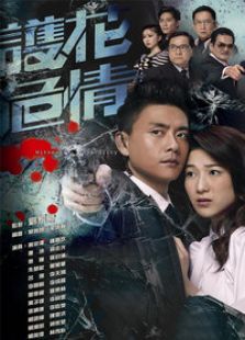 護(hù)花危情（國(guó)語(yǔ)版）