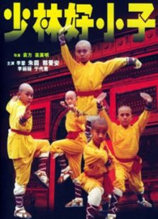 少林龍小子
