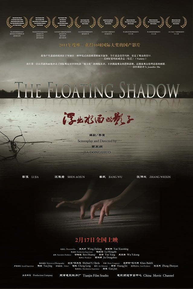 浮出水面的影子 海報