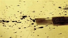 制作特輯之天王駕到