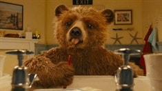 中文版預(yù)告片