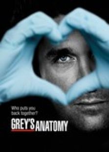 實習醫(yī)生格蕾第9季