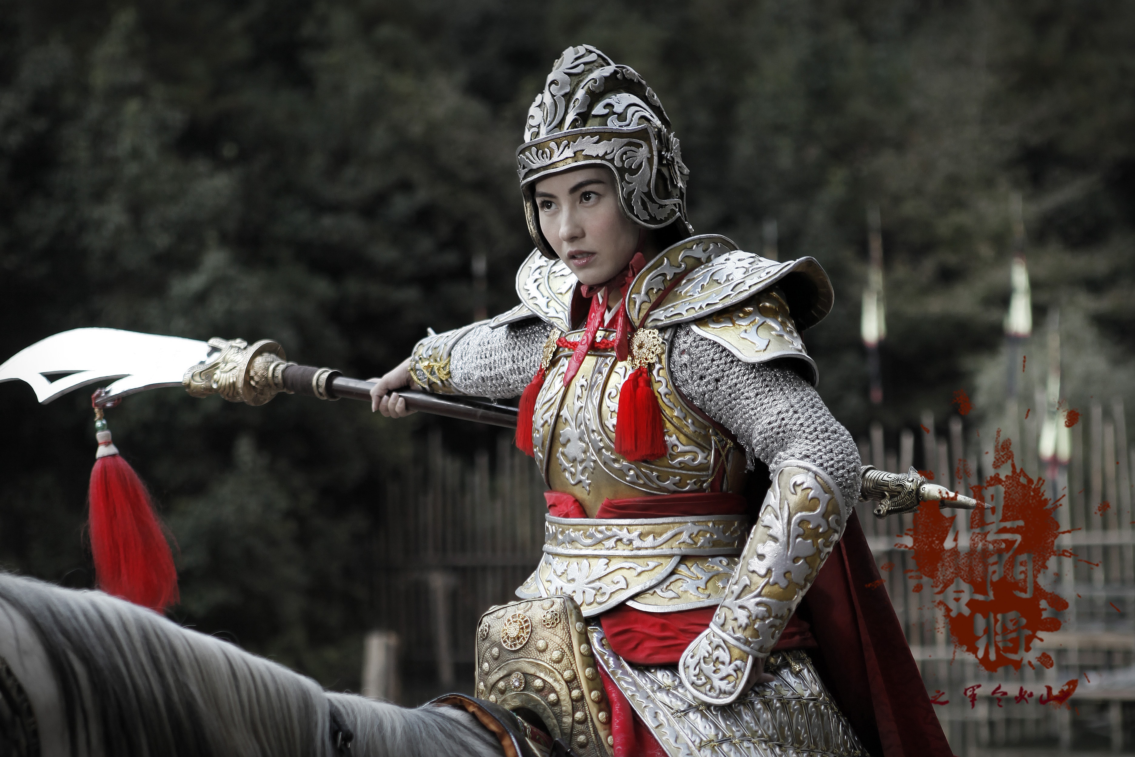 楊門女將之軍令如山  精彩圖冊2