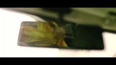 花絮之寧浩客串盤點