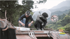  真人秀特輯 山谷里的處女座