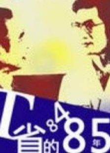 T省的84、85年