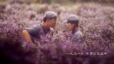 預(yù)告片夏季系列·高爾夫篇