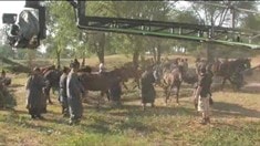 制作特輯之動物